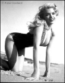 Jane Mansfield