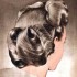 Workshops To Learn Rockabilly Hairstyling